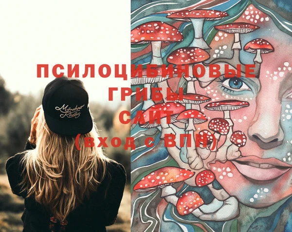 метадон Армянск